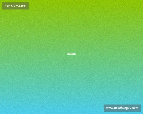 篮球比分数据网